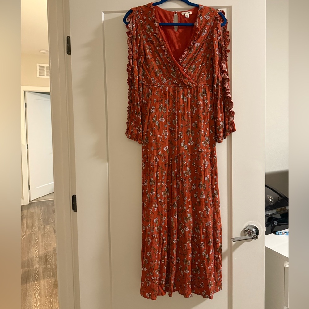 Francesca's Miami Long Sleeve Maxi Dress